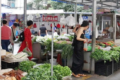 边境小城河口的菜市场是这样的 要闻 红河频道