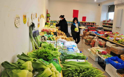 哈尔滨节前市场咋样 菜篮子 供应充足价格平稳